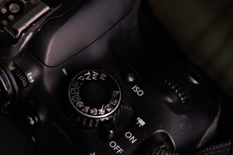 Capturing Moments: A Photographer’s Guide to Essential Equipment