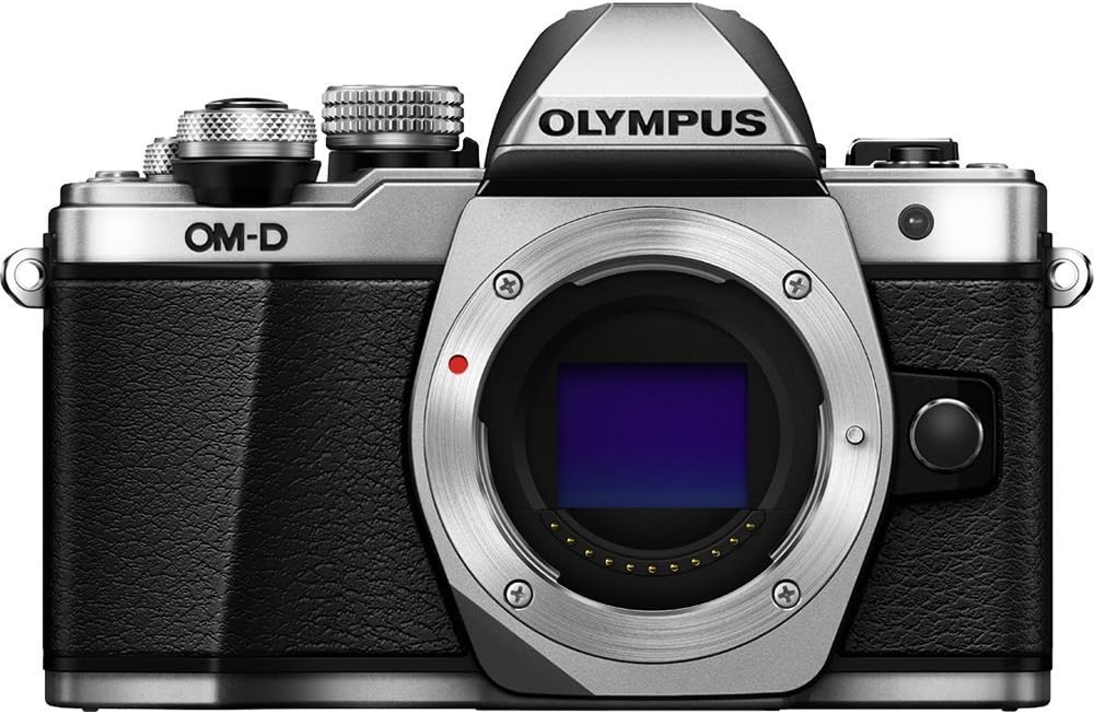 OM SYSTEM OLYMPUS OM-D E-M10 Mirrorless Digital Camera (Silver)- Body only